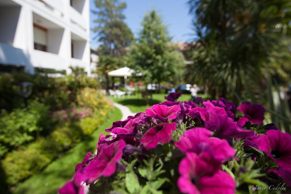 Hotel Mar Del Plata Grado Exterior photo